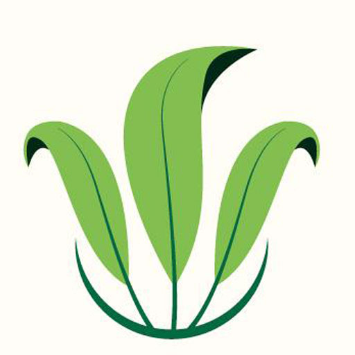 Earth Wise Supplements